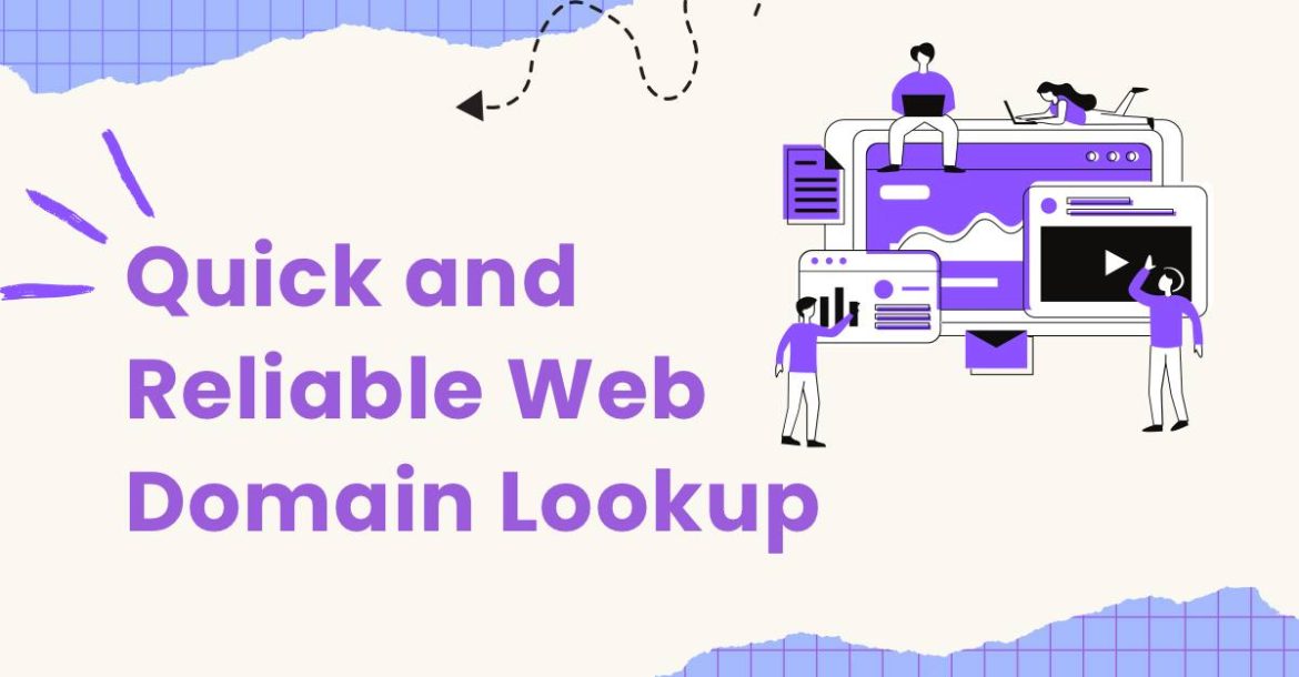 Quick and Reliable Web Domain Lookup